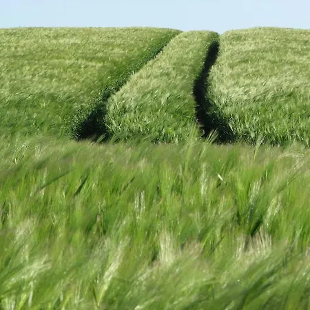 Duenenhaus * Sellin (Rugen)