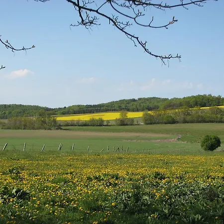 Duenenhaus Appartement Sellin (Rugen)